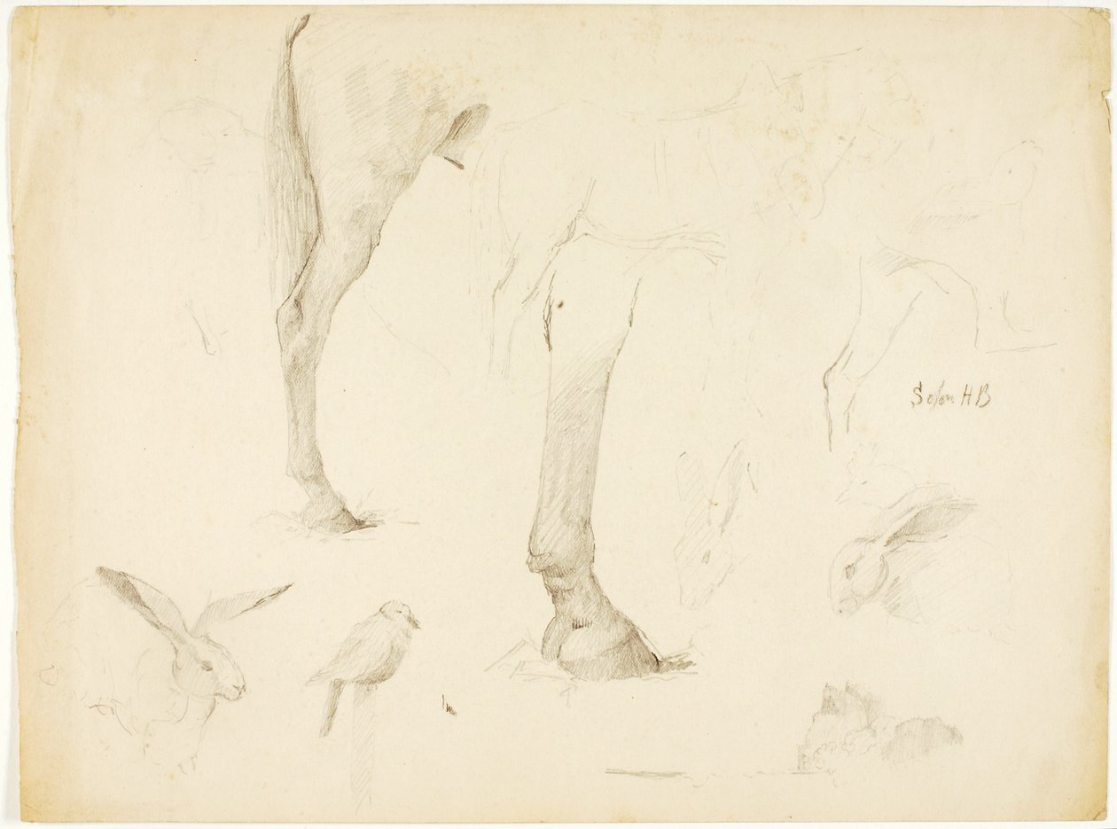 Pferdestudie und Kaninchen von Solon H. Borglum