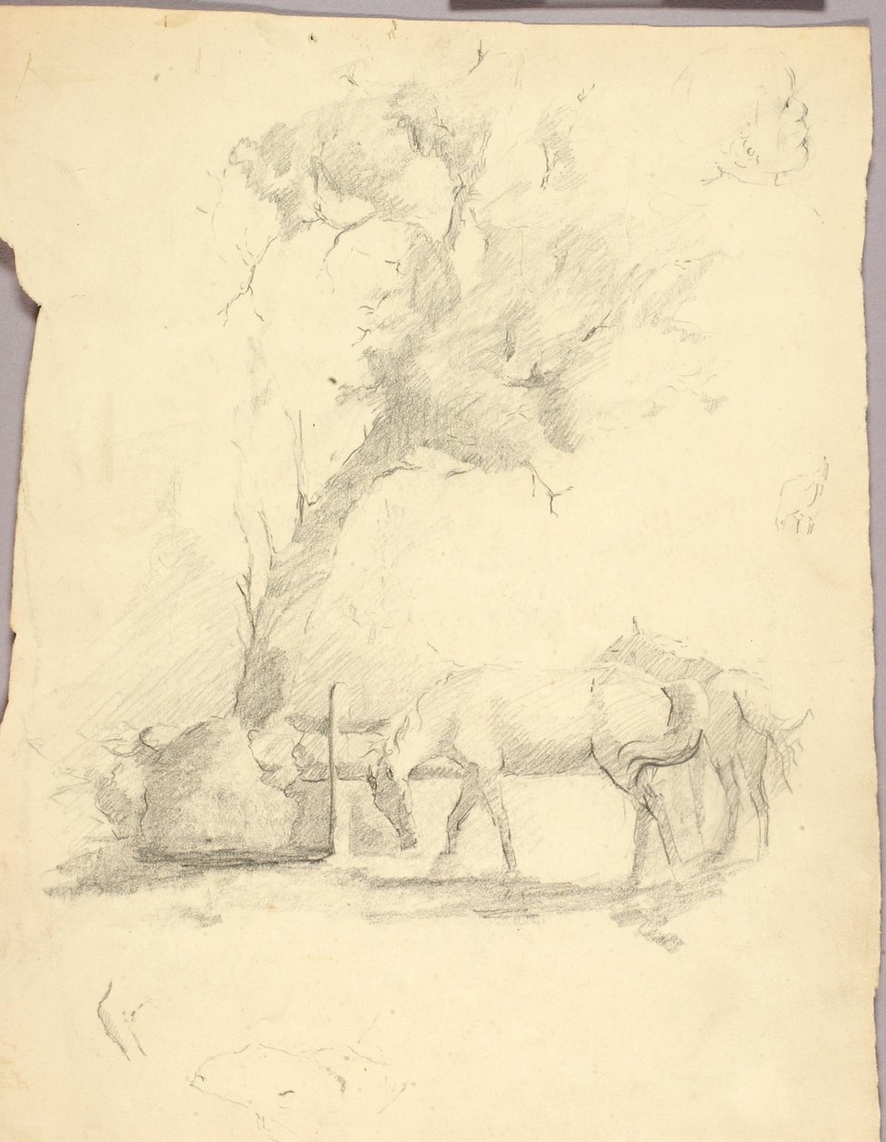Pferde und Baum von Solon H. Borglum