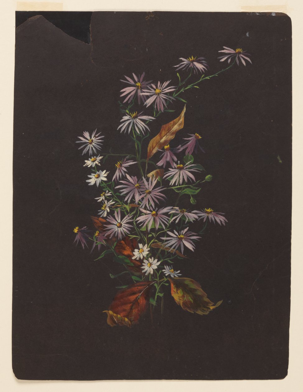 Studie eines Herbststraußes von Sophia L. Crownfield
