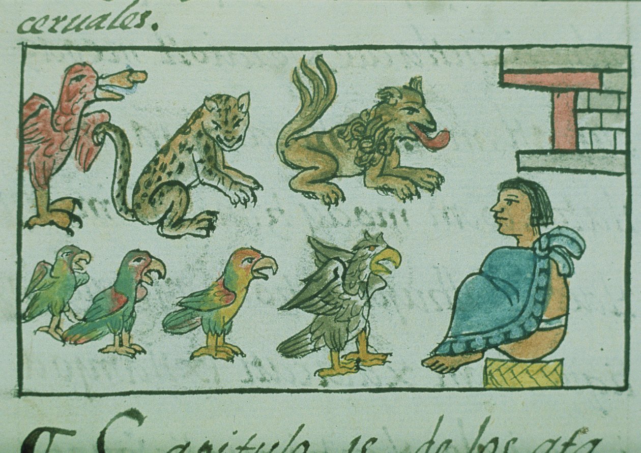 Ms Palat. 218-220 Buch IX Tiere des Aztekenkaisers, aus dem 