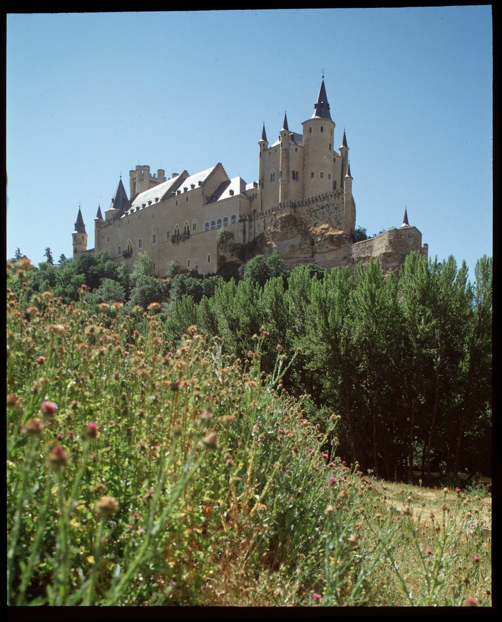 Blick auf die Alcázar von Spanish School