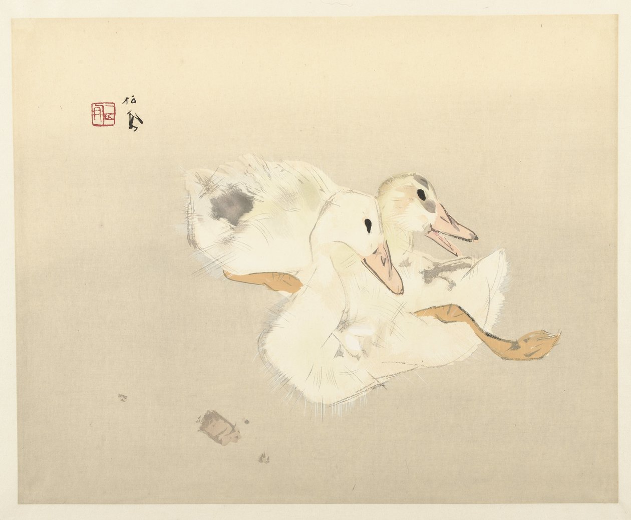 Junge Enten von Takeuchi Seiho