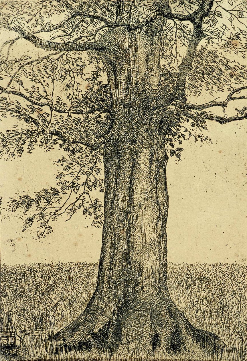Baum von Theo van Doesburg