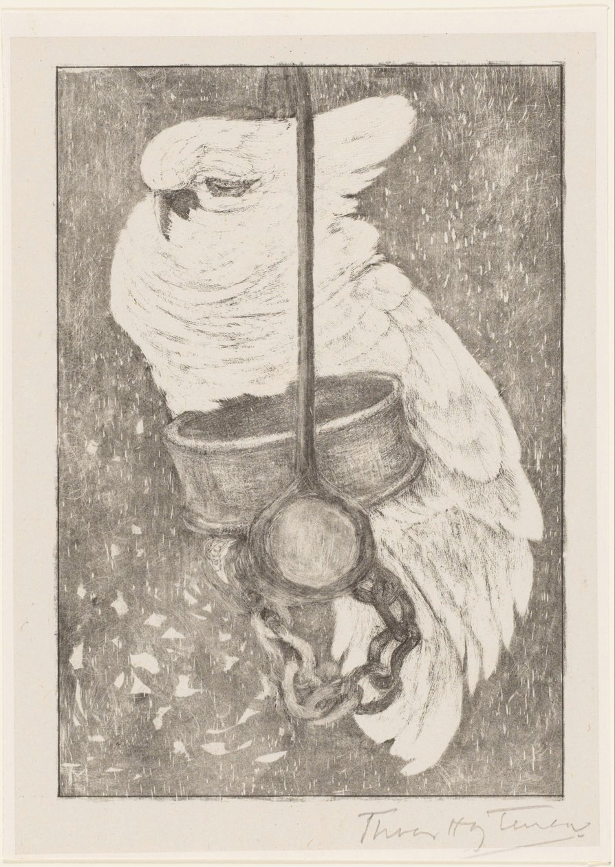 Weißer Kakadu von Theo van Hoytema (signed by artist)