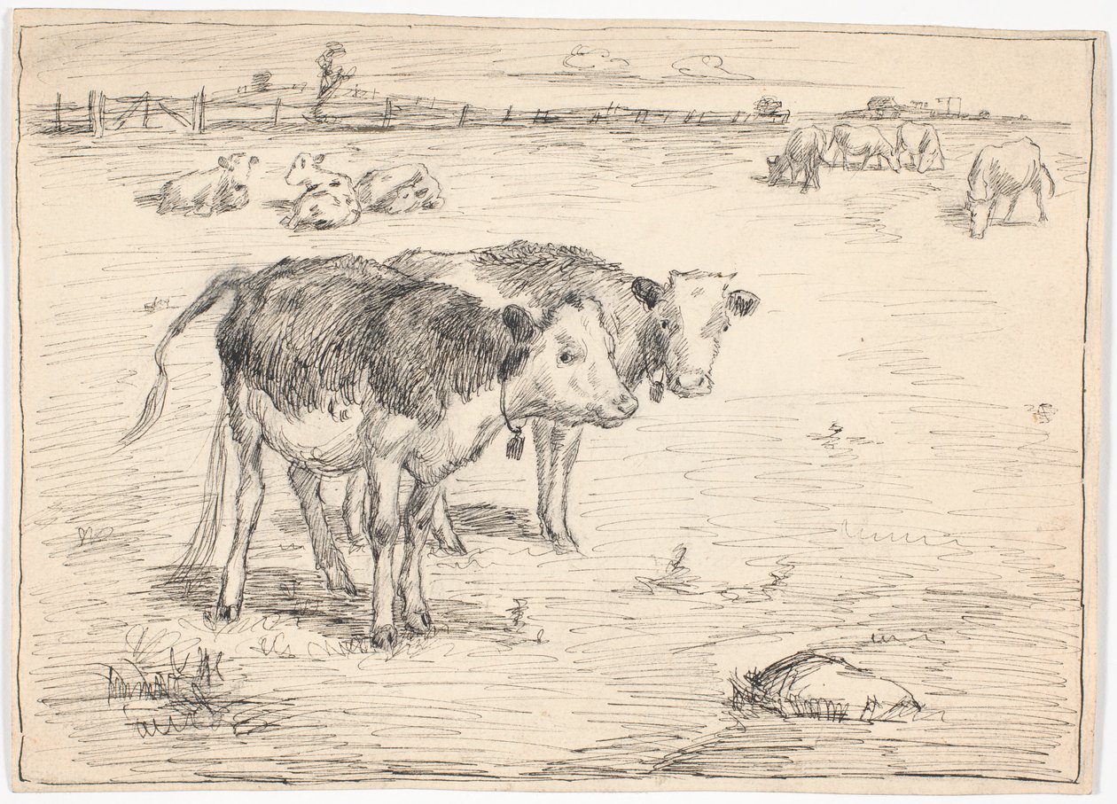 Ein paar Kälber auf "Fladen", Saltholm von Theodor Philipsen