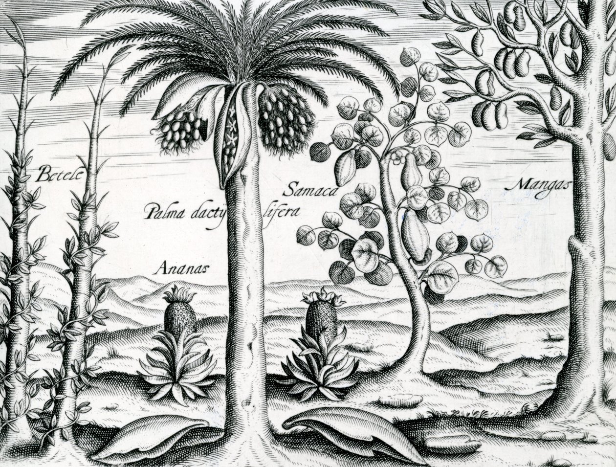 Landschaft, Illustration aus 