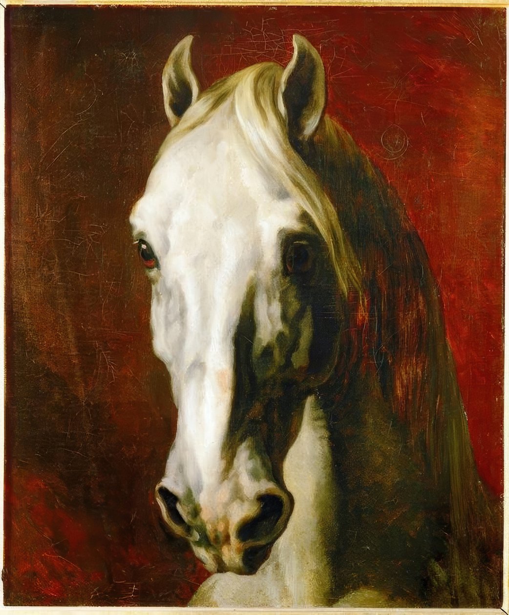 Kopf eines Schimmels von Theodore Gericault
