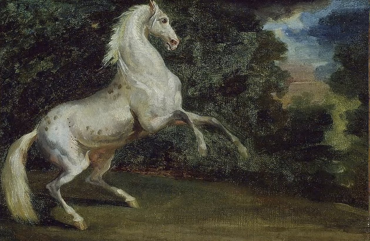 Tänzelndes Pferd von Theodore Gericault