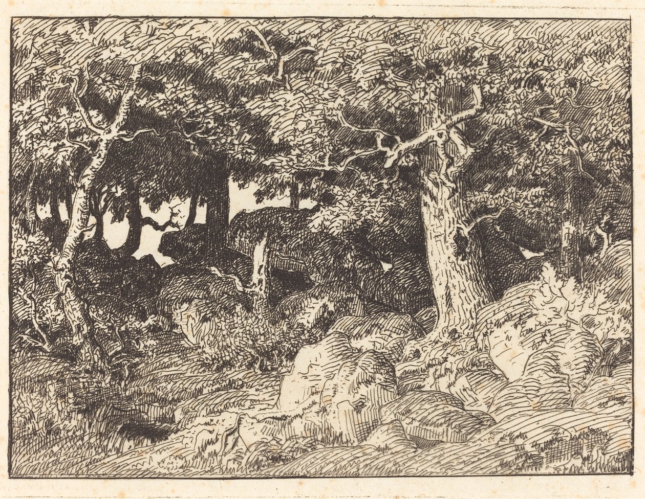 Felsen-Eichen von Theodore Rousseau