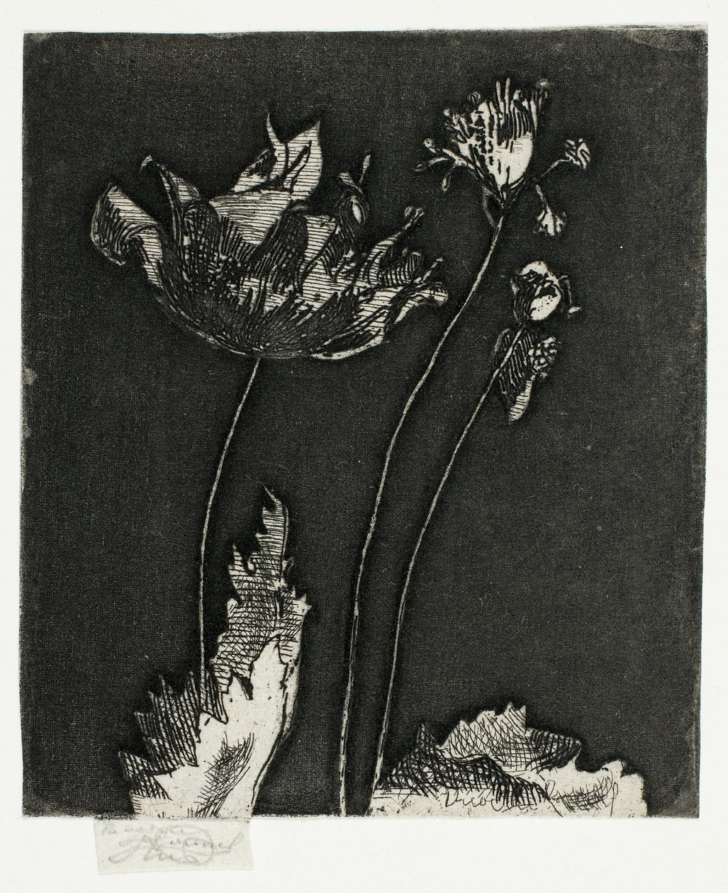 Letzte Mohnblumen von Theodore Roussel