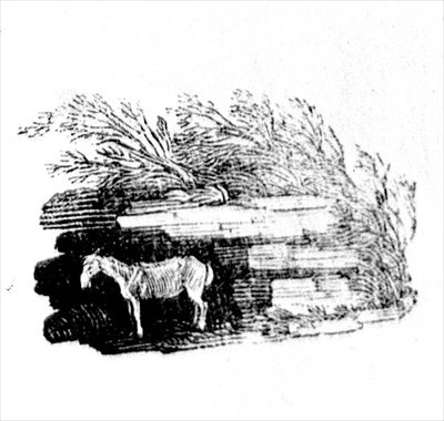 Ein Esel aus Geschichte der britischen Vögel und Säugetiere von Thomas Bewick