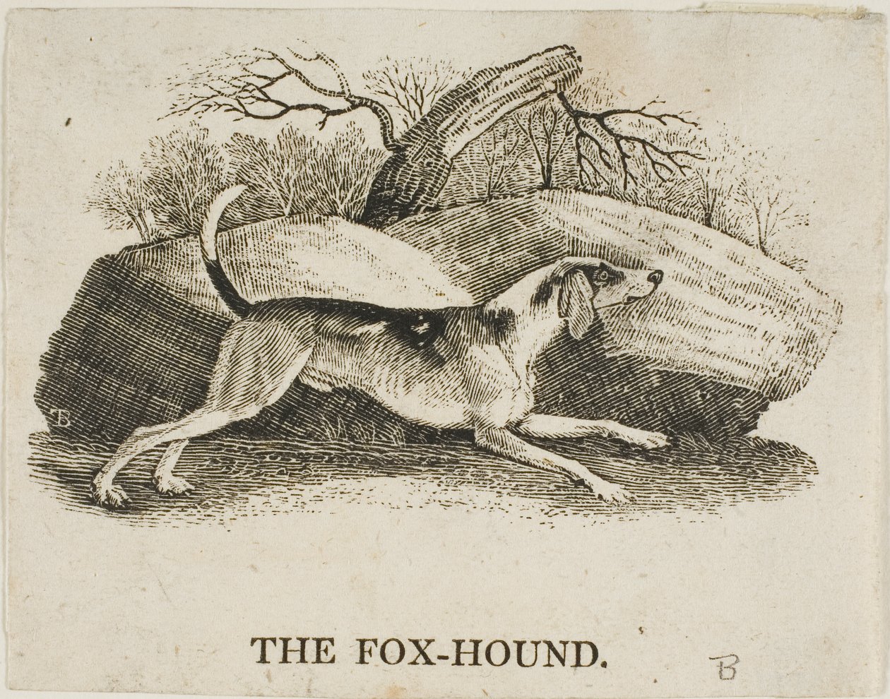 Fuchshund von Thomas Bewick