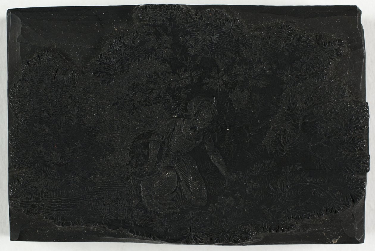 Holzschnitt für Frau, die Blumen pflückt von Thomas Bewick