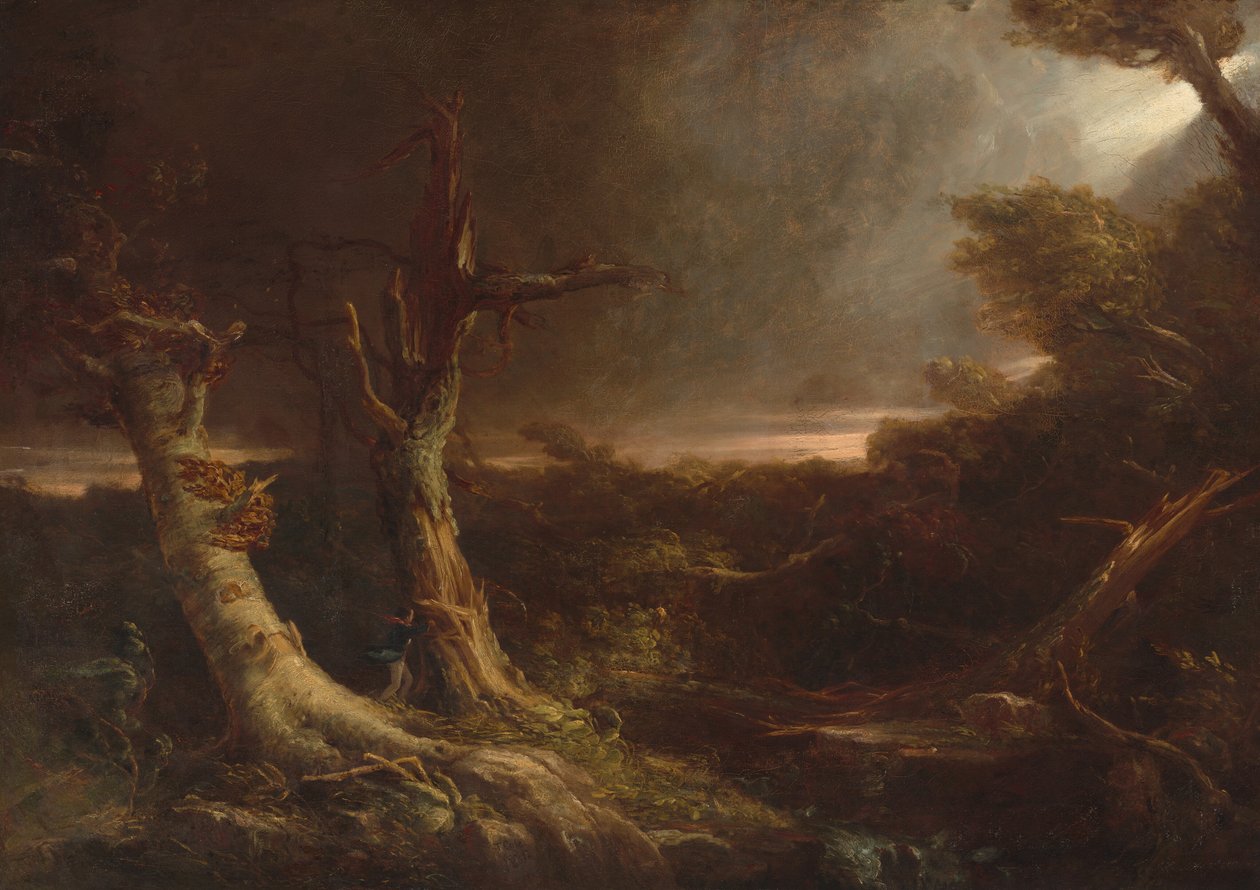 Tornado in einem amerikanischen Wald von Thomas Cole