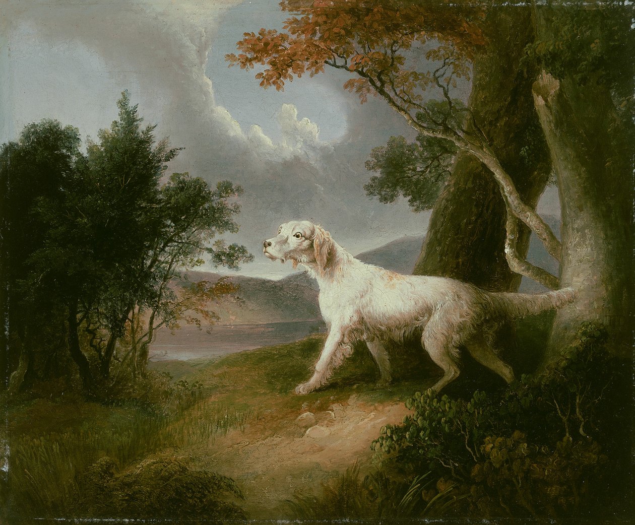 Landschaft mit Hund von Thomas Doughty