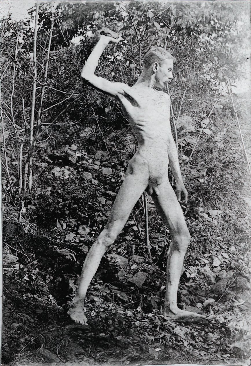 Steinewerfer, ca. 1883 von Thomas Eakins