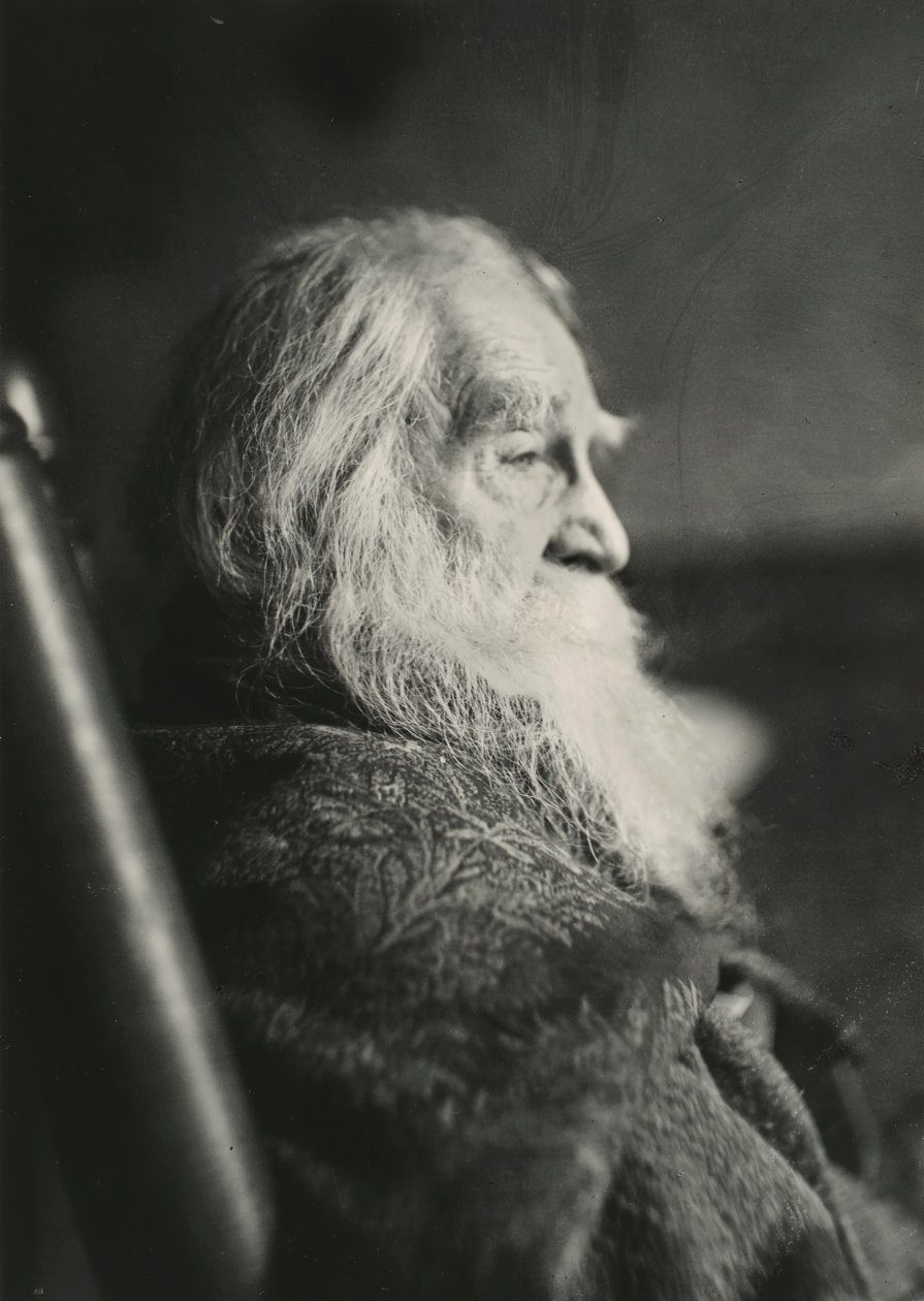 Walt Whitman in Camden, N.J. von Thomas Eakins