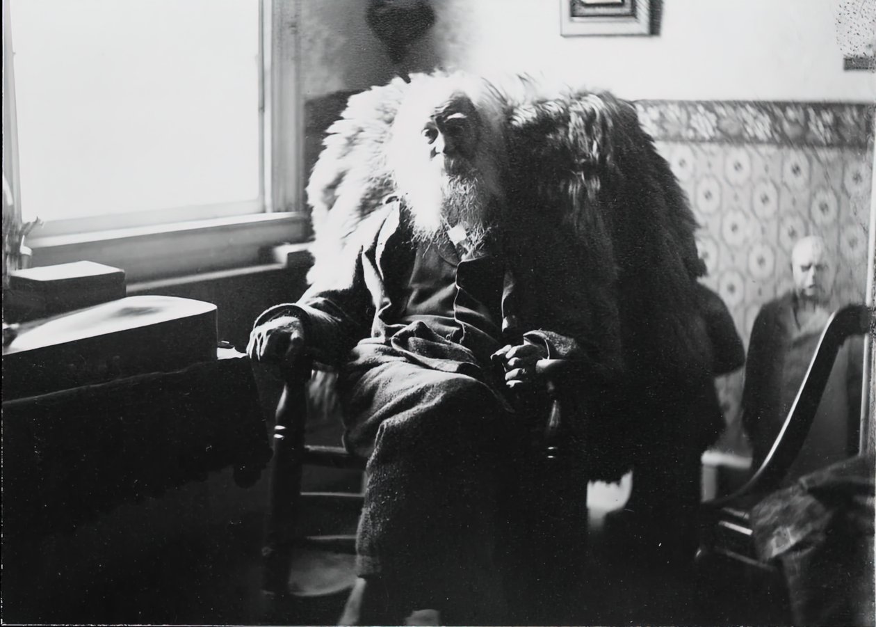 Walt Whitman in Camden, N.J. von Thomas Eakins