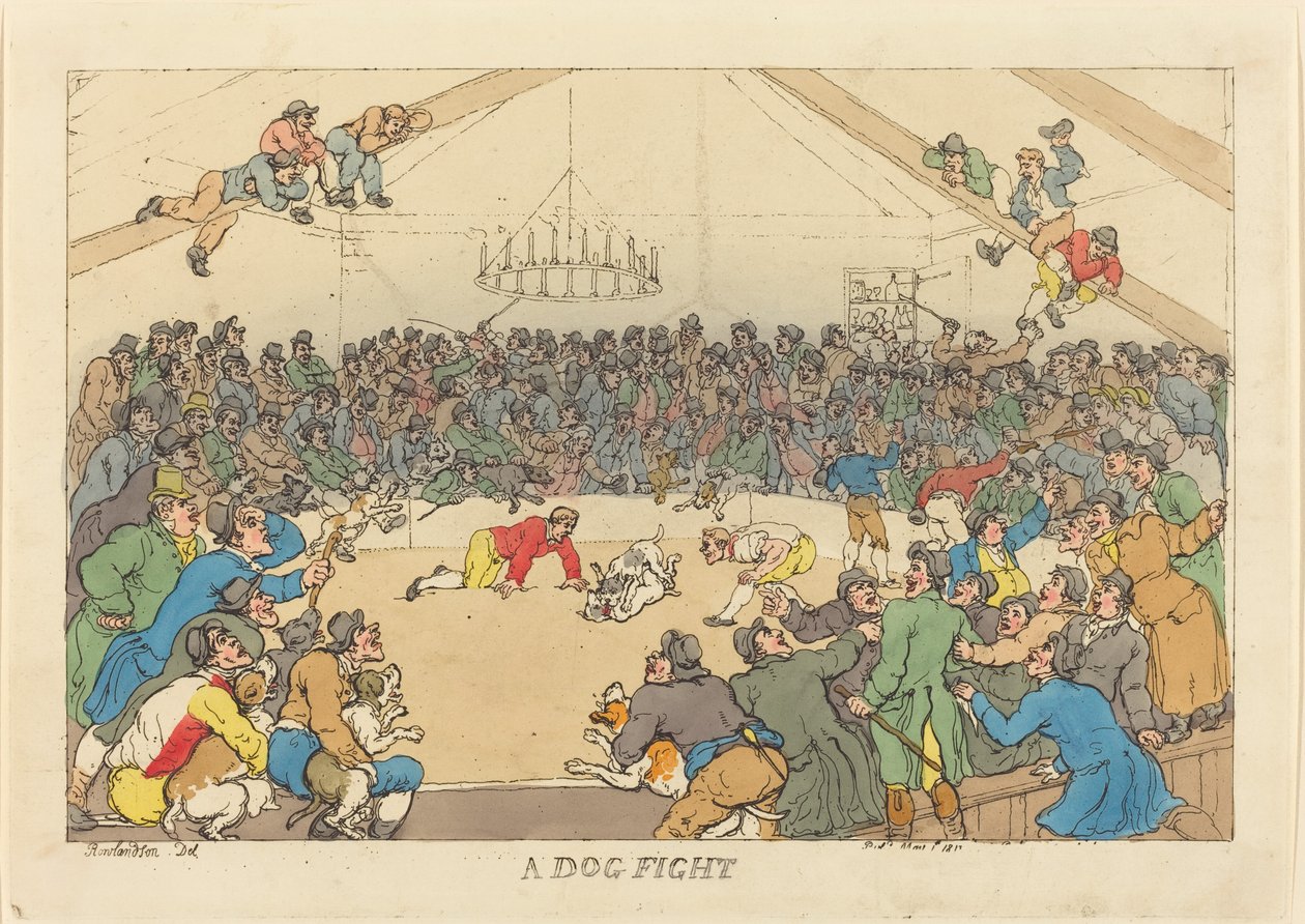 Ein Hundekampf von Thomas Rowlandson