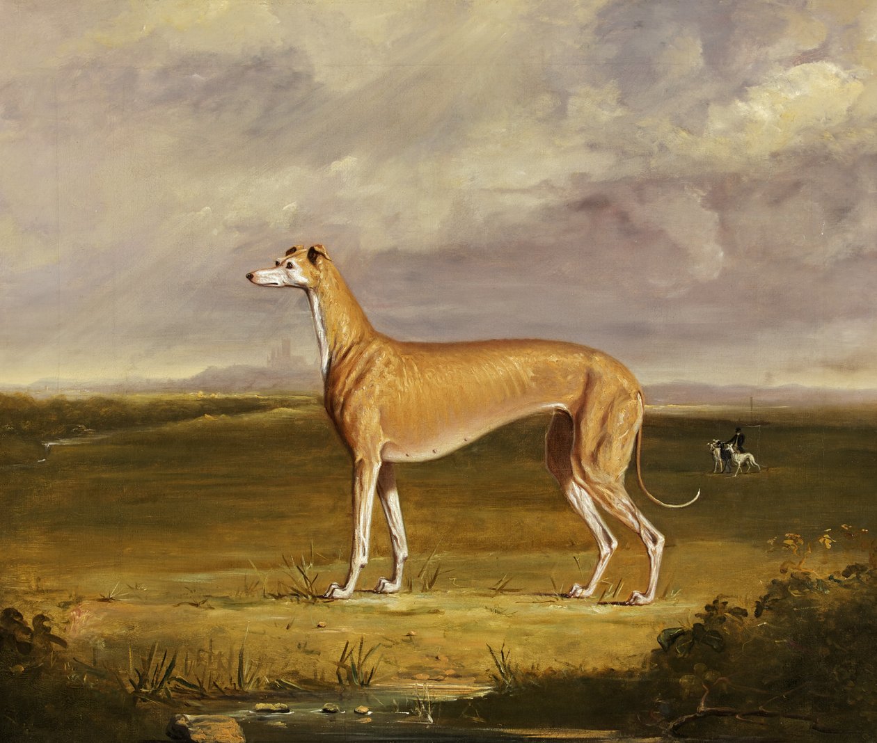 Der Windhund von Thomas W. Bretland