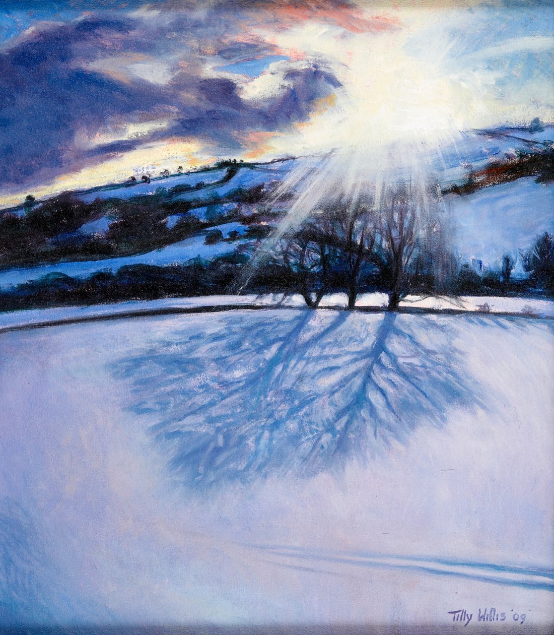 Schneeschatten, 2009 von Tilly Willis