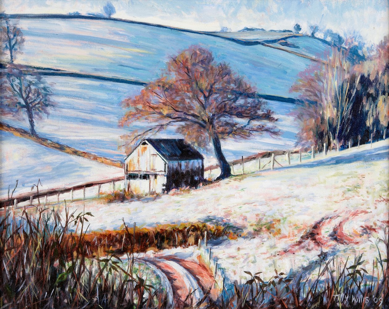 Winterfrost, 2009 von Tilly Willis