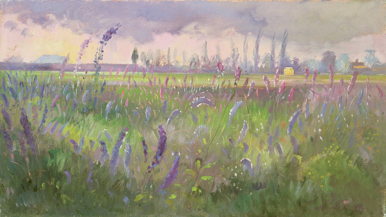 Rittersporn, Sturm zieht vorbei, 1991 von Timothy Easton