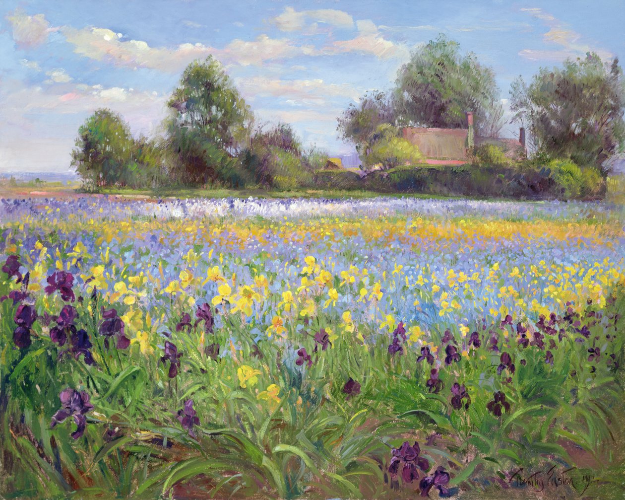 Bauernhof und Irisfeld, 1992 von Timothy Easton