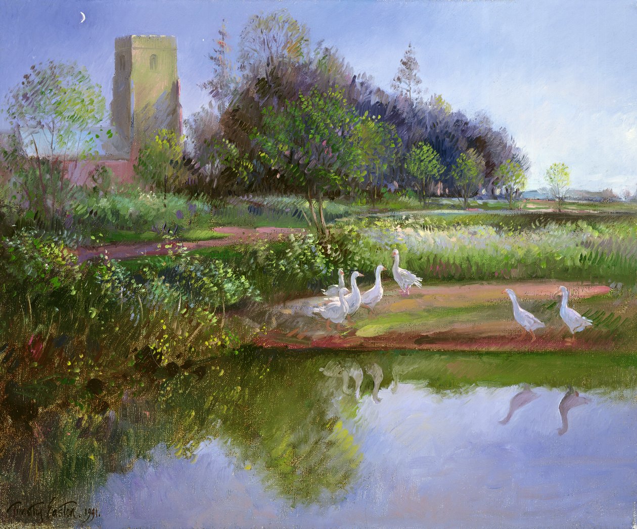 Gänse bei Sonnenuntergang, 1991 von Timothy Easton