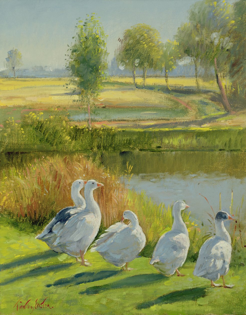 Gänsewächter von Timothy Easton