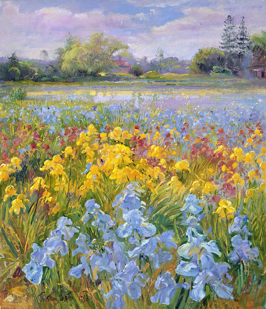 Schwertlilien, Weide und Tanne, 1993 von Timothy Easton