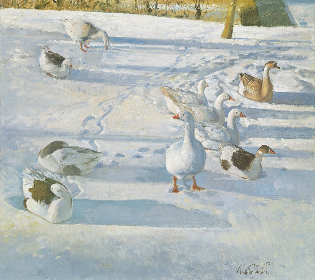 Ruhen am Hang von Timothy Easton