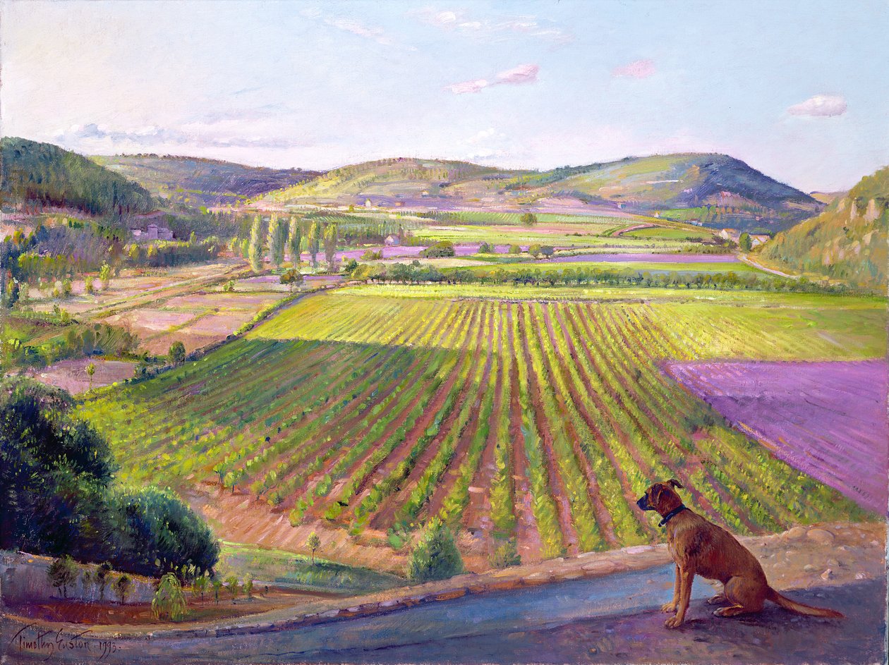 Beobachten von den Mauern, Altes Provence, 1993 von Timothy Easton