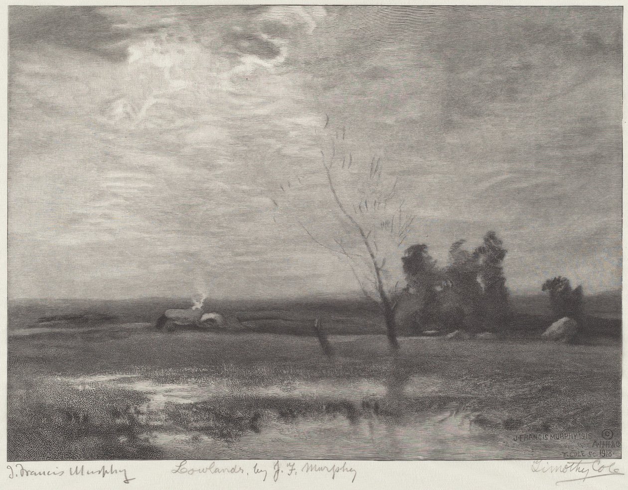 Tiefland von Timothy Cole after John Francis Murphy