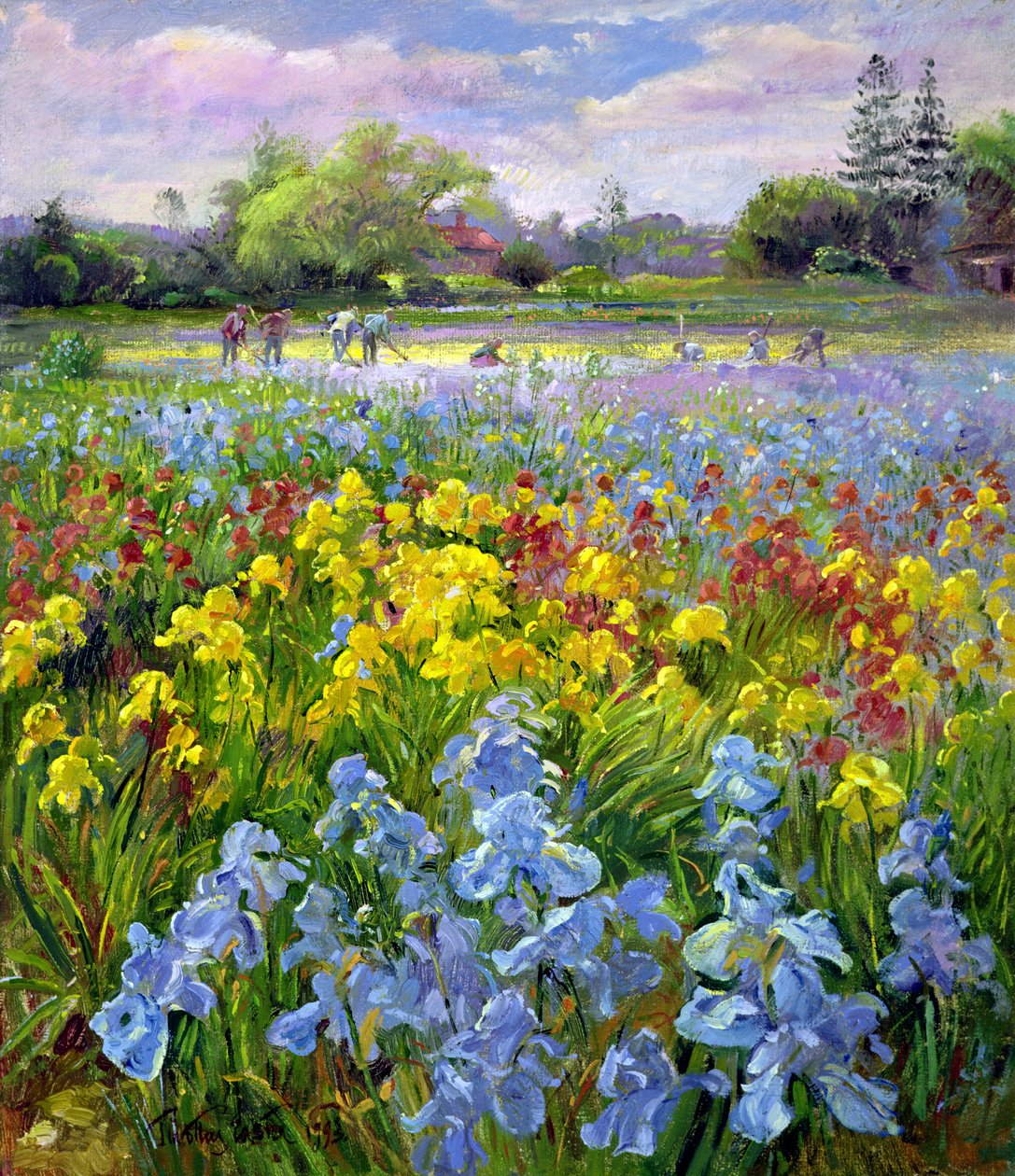 Hackteam und Irisfelder von Timothy Easton
