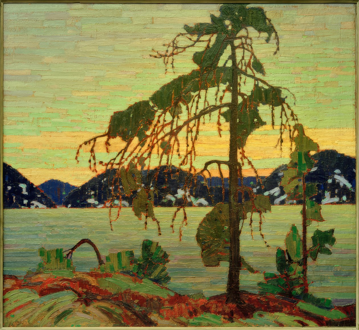 Die Kiefer von Tom Thomson