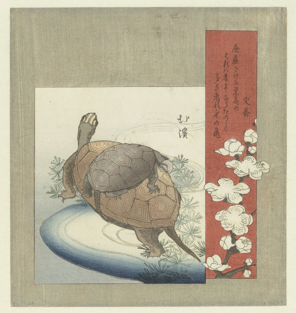 Schildkröten von Totoya Hokkei