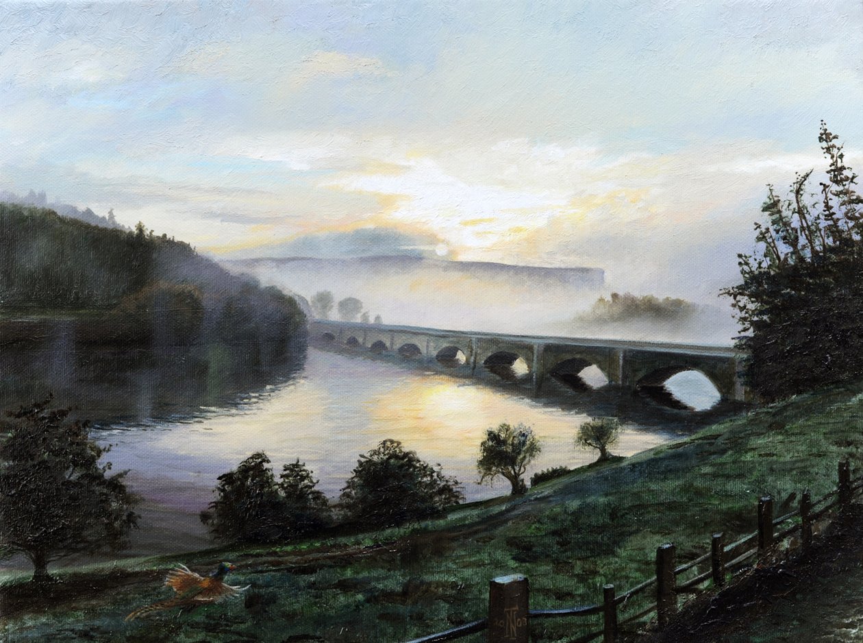 Früher Morgennebel, 2009 von Trevor Neal