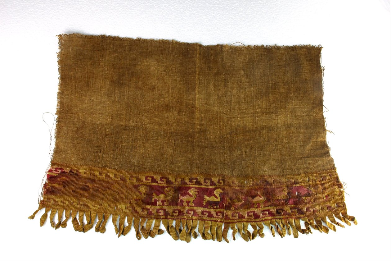 Textilfragment von Unbekannt Unbekannt