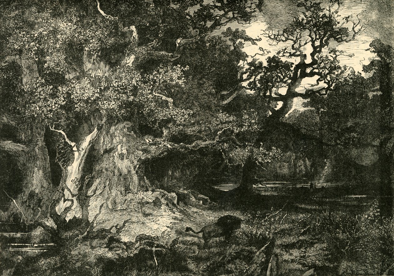 Ein deutscher Wald, 1890 von Unbekannt