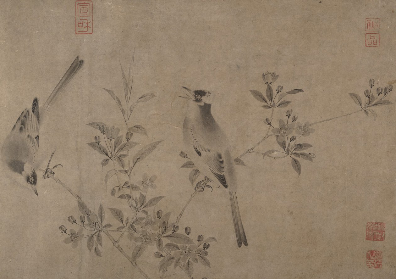 Chinesische Bulbuls auf blühendem Kirschapfel von Unbekannt