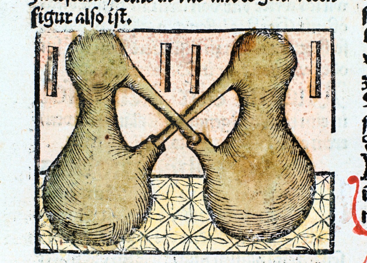 Destillation, 1500 von Unbekannt