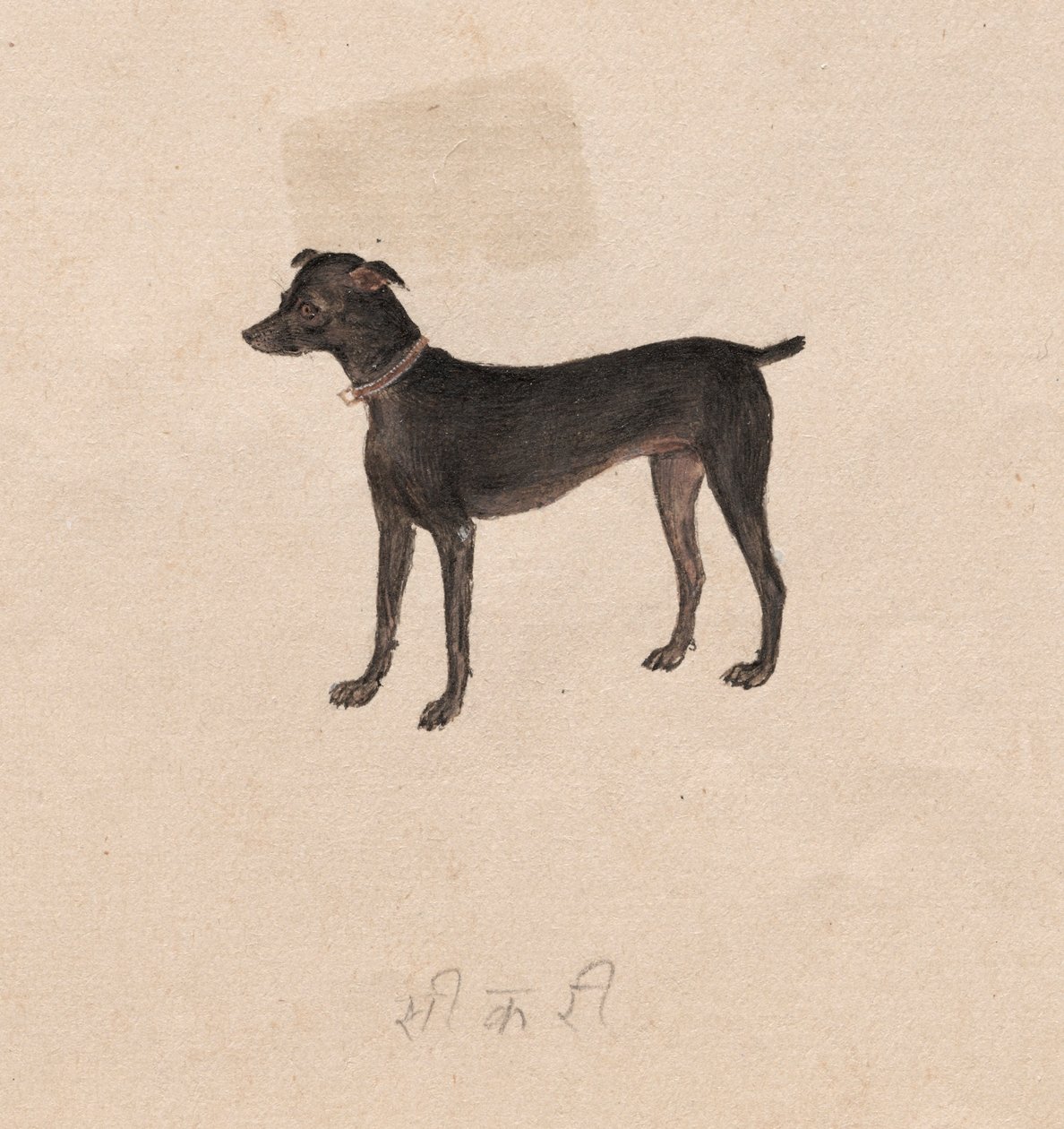 Hund, 1800er Jahre von Unbekannt