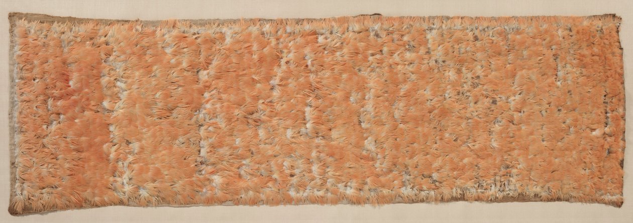 Gefiederte Tafel von Unbekannt