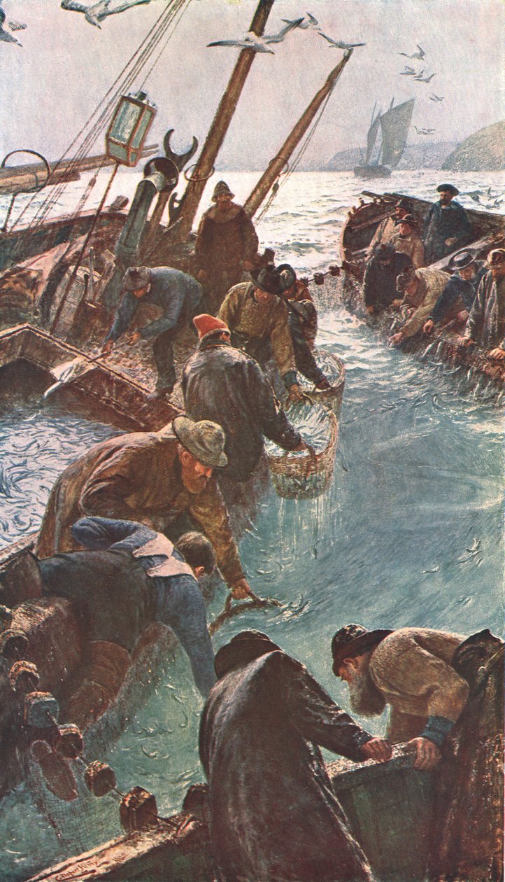 Wie wir die Sardellen fingen, 1895, um 1902 von Unbekannt