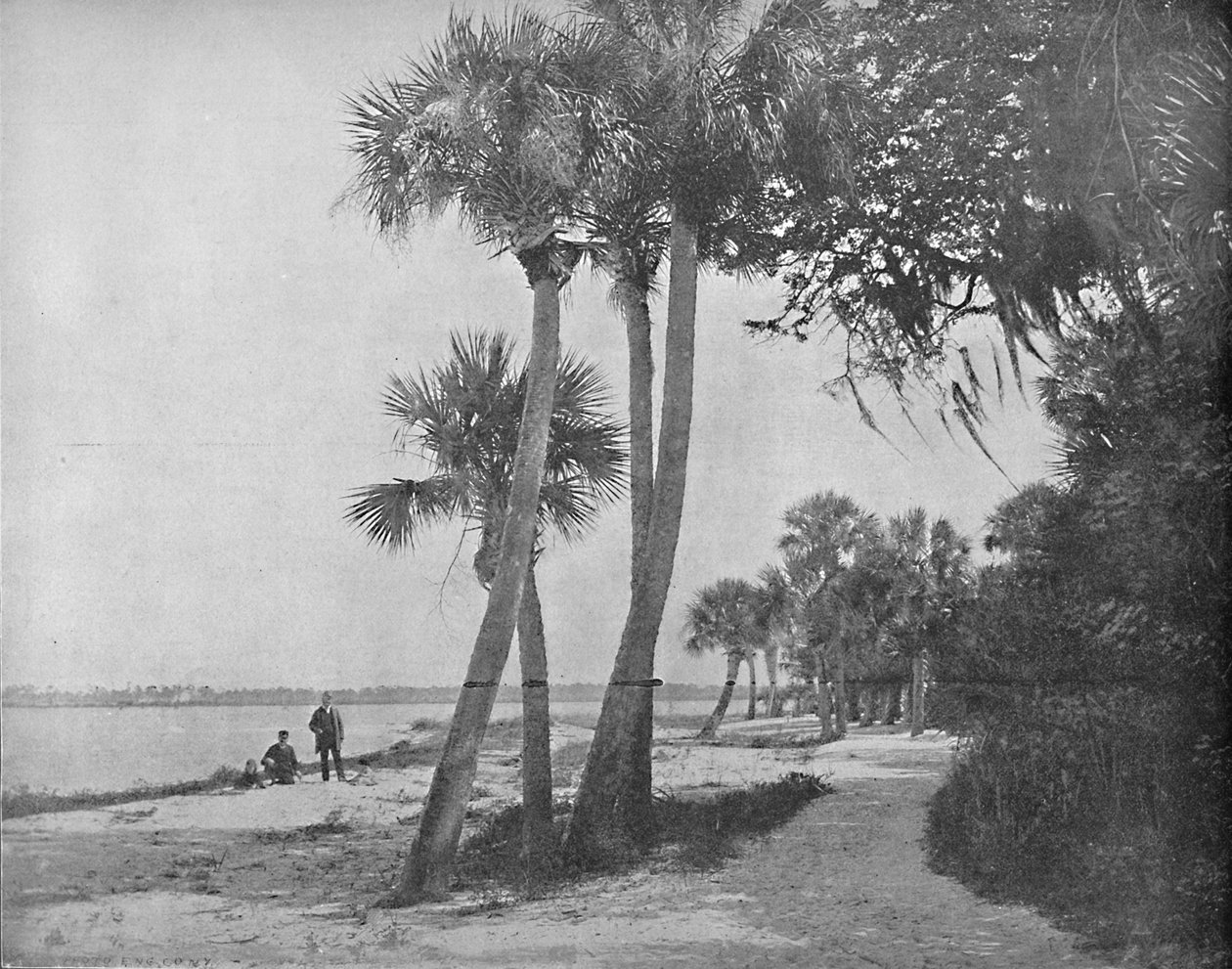 Indian River, Florida, ca. 1897 von Unbekannt