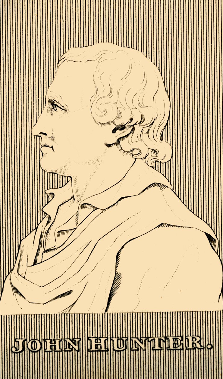 John Hunter, 1728-1793 von Unbekannt