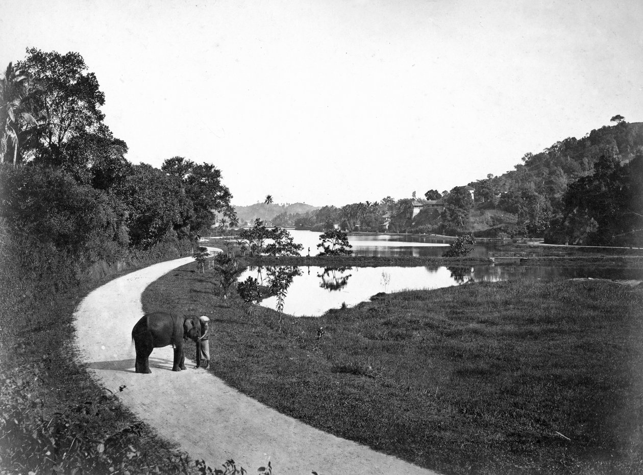 Kandy-See, Kandy, Sri Lanka, um 1910er von Unbekannt