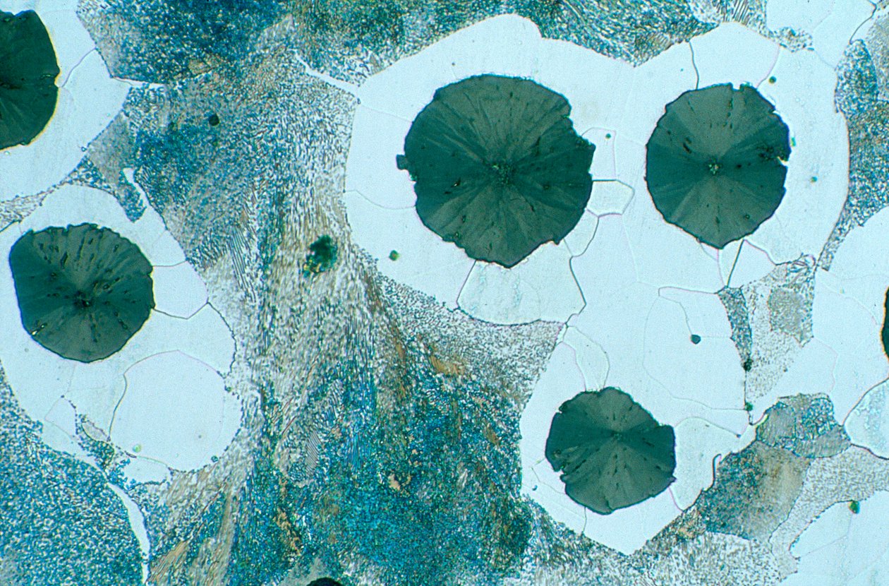 Metalle, Eisenmetalle, LM Sphäroidgraphit-Nodulareisen (geätzt) von Unbekannt
