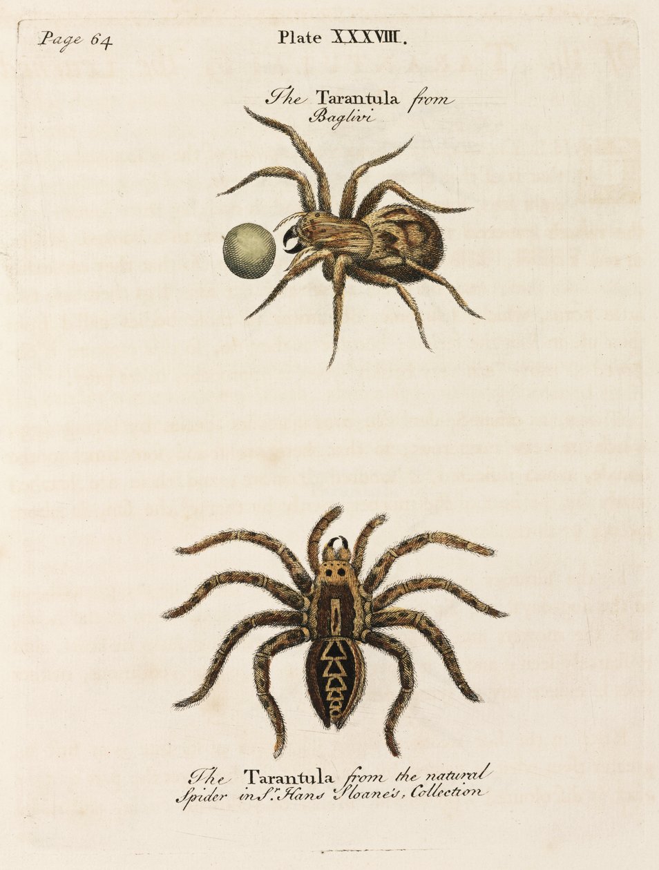 Mikroskopie von Unbekannt